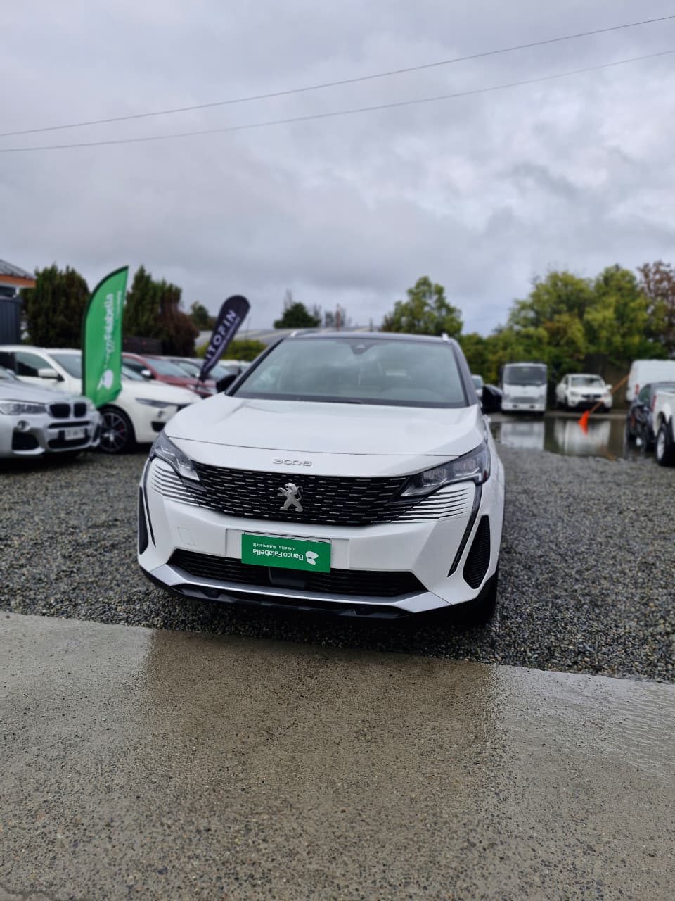 Peugeot 3008 Allure Pack Blue Hdi — foto 6 de 11